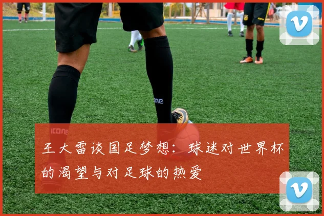 王大雷谈国足梦想：球迷对世界杯的渴望与对足球的热爱