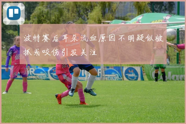 波特赛后耳朵流血原因不明疑似被抓或咬伤引发关注