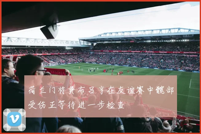 荷兰门将费布吕亨在友谊赛中髋部受伤正等待进一步检查